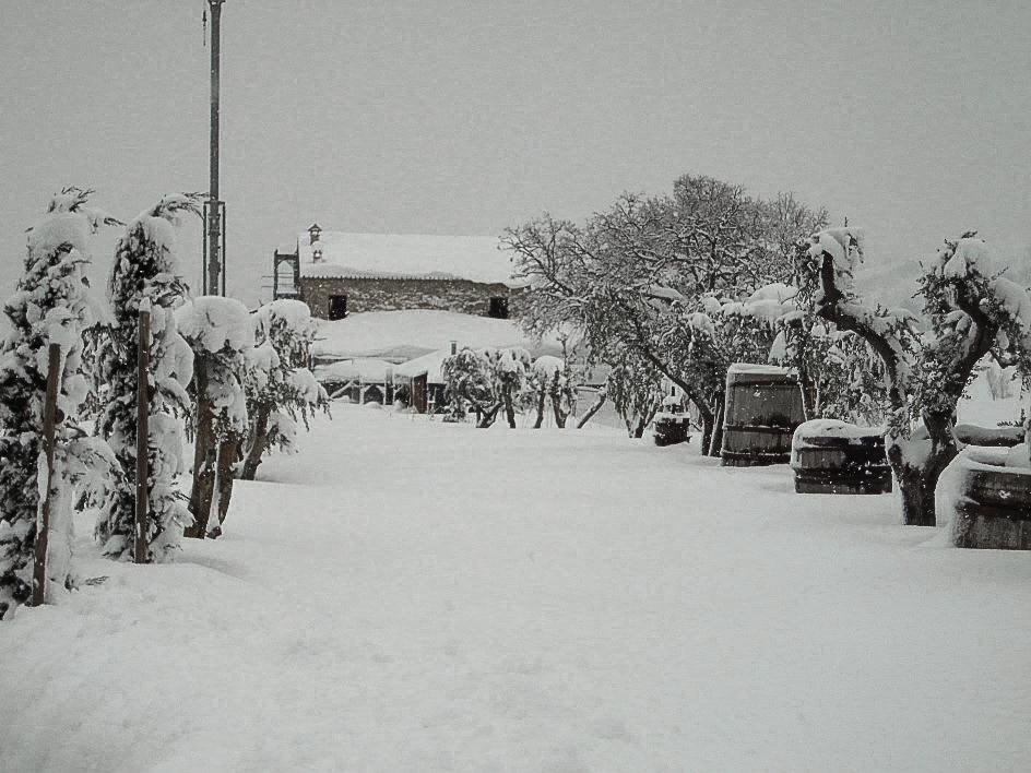 Agriturismo Ca' Maggio Sasso Feltrio Δωμάτιο φωτογραφία